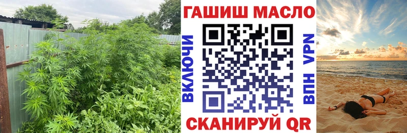 это клад  Сальск  ТГК вейп с тгк 